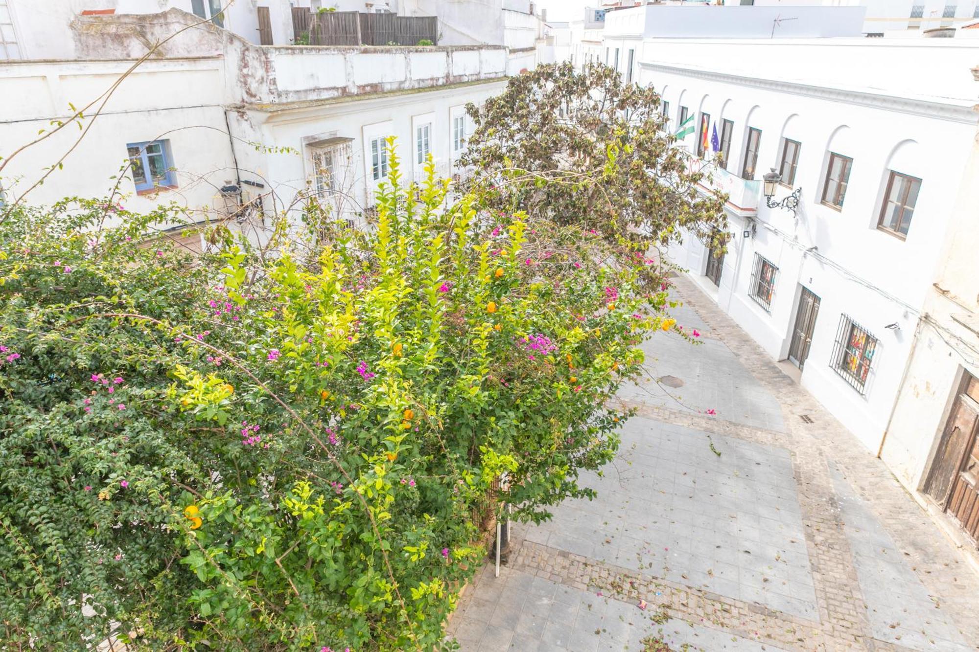 Apartamento Casa Acua De Aljaranda - De Diseno Casco Hist Tarifa Exterior foto